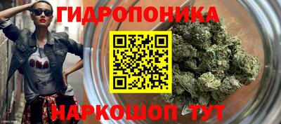 спиды Будённовск