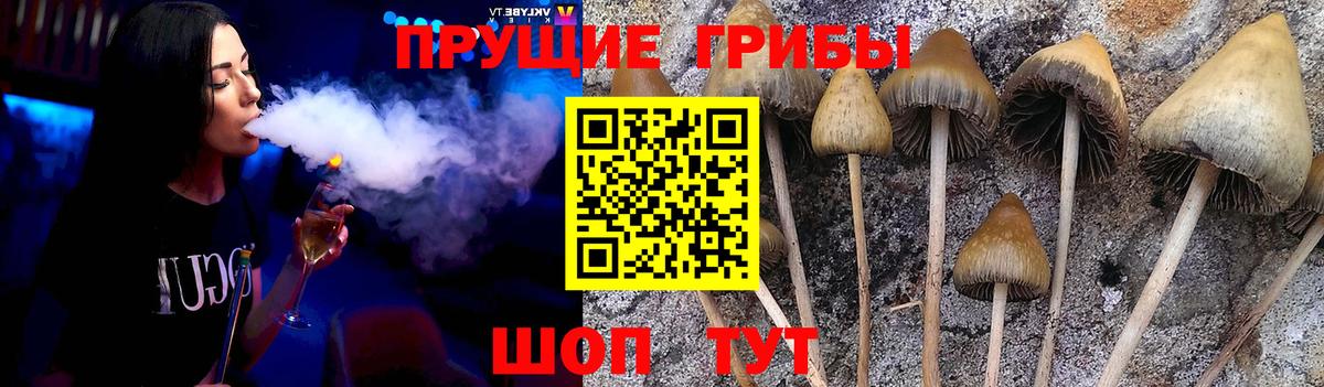 Снежинск  Галлюциногенные грибы мухоморы  Вход с VPN 