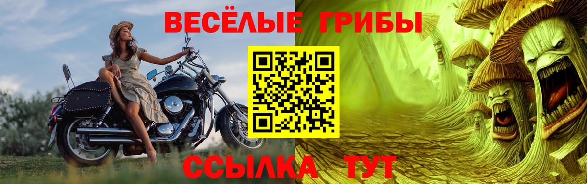 Псилоцибиновые грибы GOLDEN TEACHER Снежинск